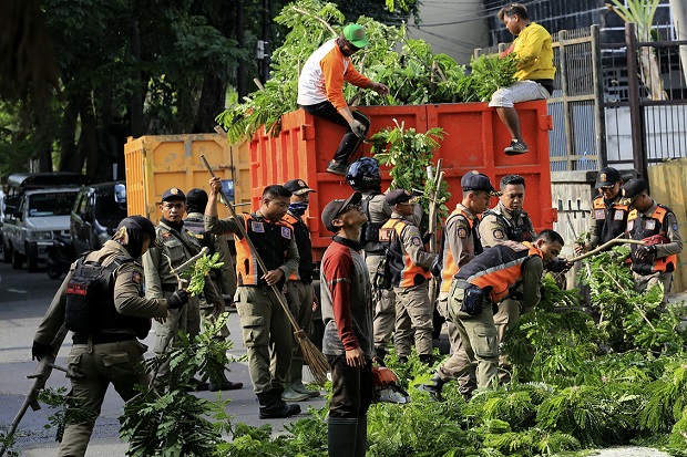 Tanaman Pelindung Ditanam di Surabaya, Ini Fungsinya