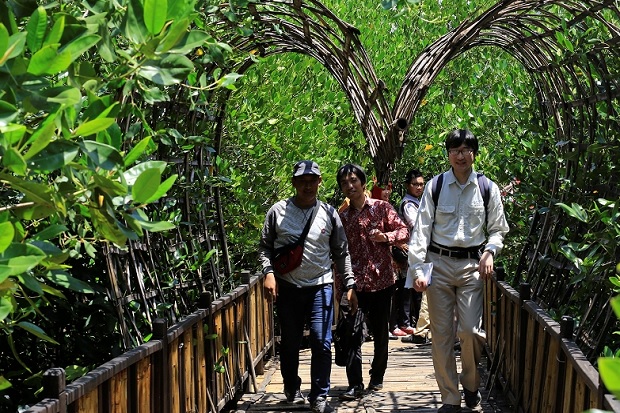 Kunang-kunang Sudah Bermunculan di Ekosistem Mangrove Surabaya