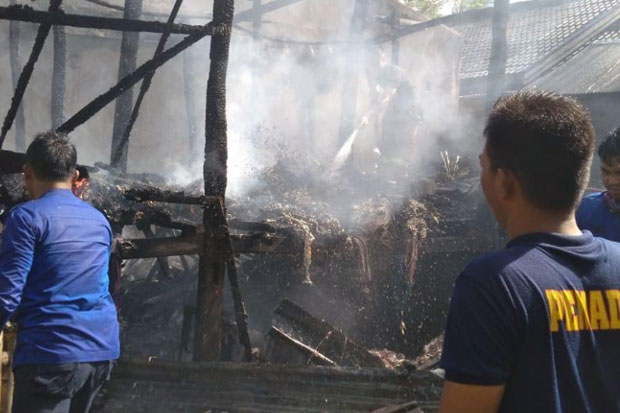 Si Jago Merah Nyaris Hanguskan Puluhan Rumah di Laummasa Bone