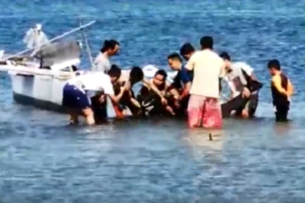 Nelayan Evakuasi Lumba-lumba yang Nyaris Terdampar di Pantai Parepare