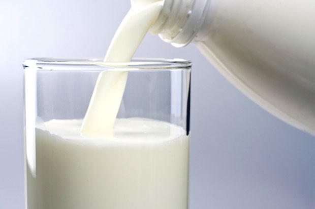 Susu Kambing Diklaim Lebih Menyehatkan dari Susu Apapun di Dunia