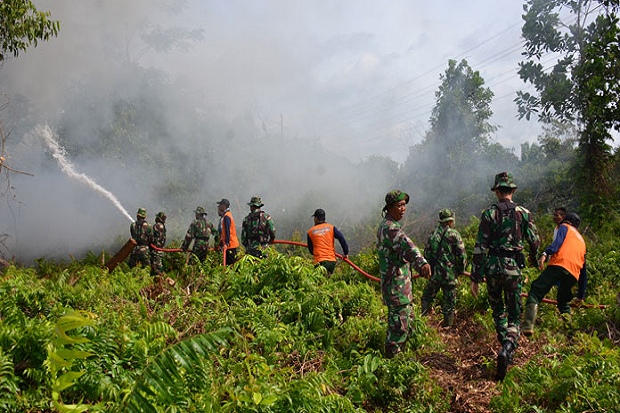 31 Titik Api Tersebar di Sumsel, Muratara Terbanyak