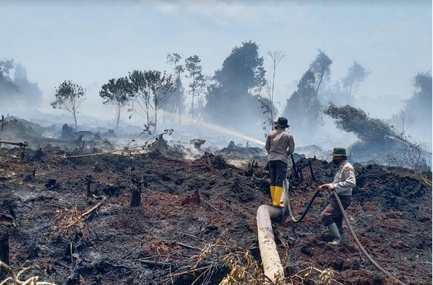 Karhutla, 115 Hotspot di Riau Sebabkan 3 Daerah Diselimuti Kabut Asap