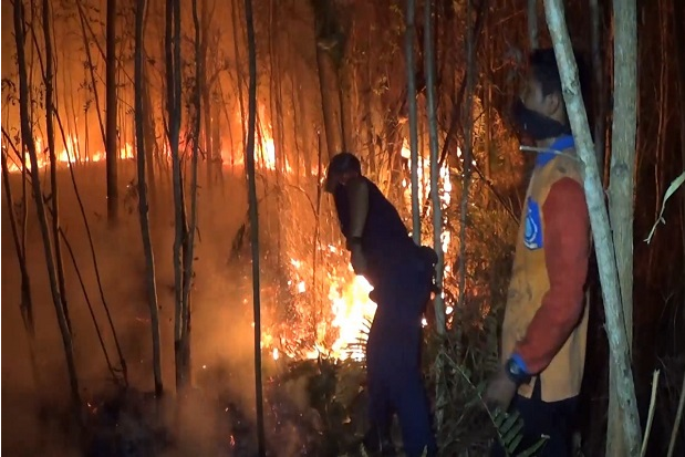Karhutla, 10 Hektare Lahan Gambut di Pangkalpinang Ludes Terbakar