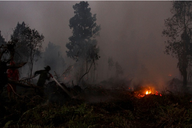 Dewan Desak Menteri LKH Ungkap Nama Perusahaan Pembakar Hutan-Lahan