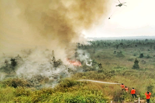 Karhutla 2019, 255.904 Hektare Lahan di Sumsel Hangus Terbakar