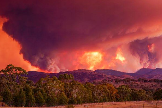 Kebakaran Hebat Hantui Ibu Kota, Australia Nyatakan Keadaan Darurat