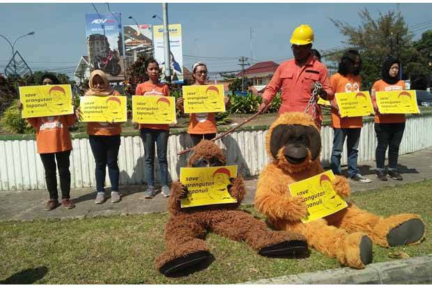 Ancam Keberadaan Habitat Orangutan, COP: Kami Tolak Rencana Pembangunan PLTA Batang Toru