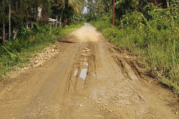 Baru Satu Tahun Diperbaiki, Jalan Provinsi Akses Nisel- Nias Barat Rusak Berat