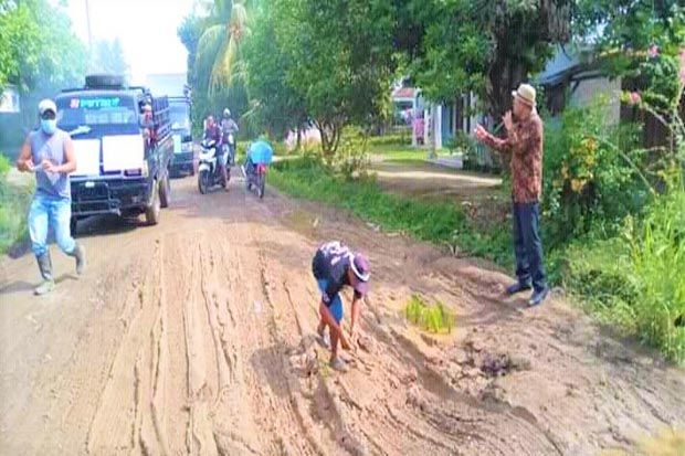 Protes Jalan Rusak, Warga 5 Desa di Hutabayu Raja Ramai-Ramai Tanam Padi dan Memancing