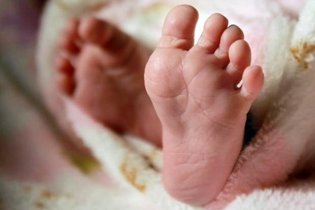 Bayi Lahir Cacat Bertambah di Madina Diduga Terpapar Merkuri Tambang Emas Ilegal