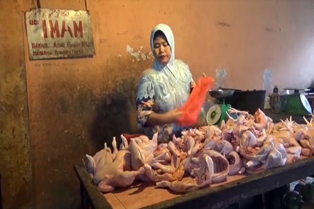 Harga Daging dan Telur Ayam di Pematangsiantar Naik Tajam