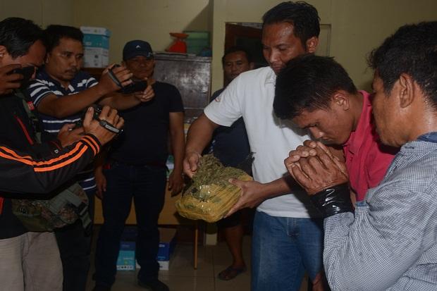 Kurir Ganja 250 Kg yang Ditembak Polisi Tenaga Honorer Pemkab Madina