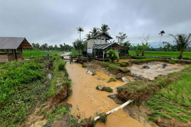 Banjir Menerjang Padangsidimpuan, Ratusan Rumah Terendam dan Jembatan Rusak