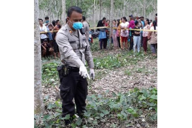 Hilang 4 Hari, Pelajar SMP Dibunuh dan Dikubur di Perkebunan