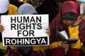 Solidaritas Rohingya