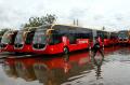 Armada Baru Bus Trans Jakarta