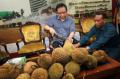 Cintai Buah Lokal Marzuki Ajak Wartawan Makan Durian