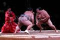 Olahraga tradisional Sumo Jepang, lucu dan menghibur