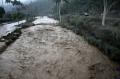 Hujan deras bawa material vulkanik Kelud lewati Sungai Legok di Malang