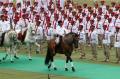 Dengan menunggang kuda, Prabowo hadiri kampanye di Stadion Utama GBK