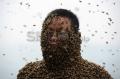 Pria China dikerubuti 460 ribu lebah