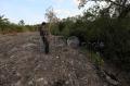 Penimbunan Sampah Ancam Mangrove Bali