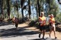 1600 Peserta Meriahkan Bromo Marathon
