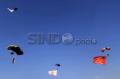 Upacara Pembukaan World Military Parachuting Championship
