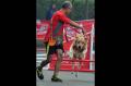 Purina Alpo Dog Run 2015