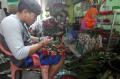 Kampung UKM Digital Hinggap di Sentra Bunga Rawa Belong Jakarta