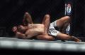 Petarung MMA Dunia Hadir di Indonesia