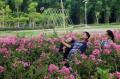 Jadi Tempat Selfie, Taman Bunga Keputih Surabaya Terancam Rusak