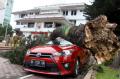Pohon Tumbang Timpa Dua Mobil di Kantor Wali Kota Medan