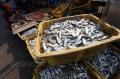 Musim Kemarau, Produksi Ikan Asin di Muara Angke Meningkat