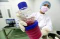 Kembangkang Stem Cell, Pemerintah Gelontorkan Rp9,3 Miliar