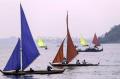 Lomba Perahu Kolek Meriahkan HUT RI di Batam
