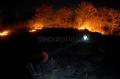 Kebakaran Lahan Terjadi di Kabupaten Gowa