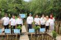 Lima Ribu Pohon Mangrove DItanam Bank DKI di Pantai Indah Kapuk