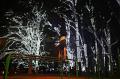 Semarak Lampu Nuansa Natal Hias Taman Ibirapuera di Brasil