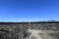 Delapan Juta Hektar Lahan Hangus Akibat Kebakaran di Australia