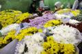 Jelang Valentine, Pasar Bunga Rawa Belong Ramai Diserbu Pembeli
