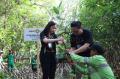 MNC Peduli dan MNC Leasing Tanam 1000 Pohon Mangrove