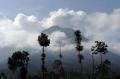 Gunung Merapi Kembali Erupsi, Tinggi Kolom 1.500 Meter